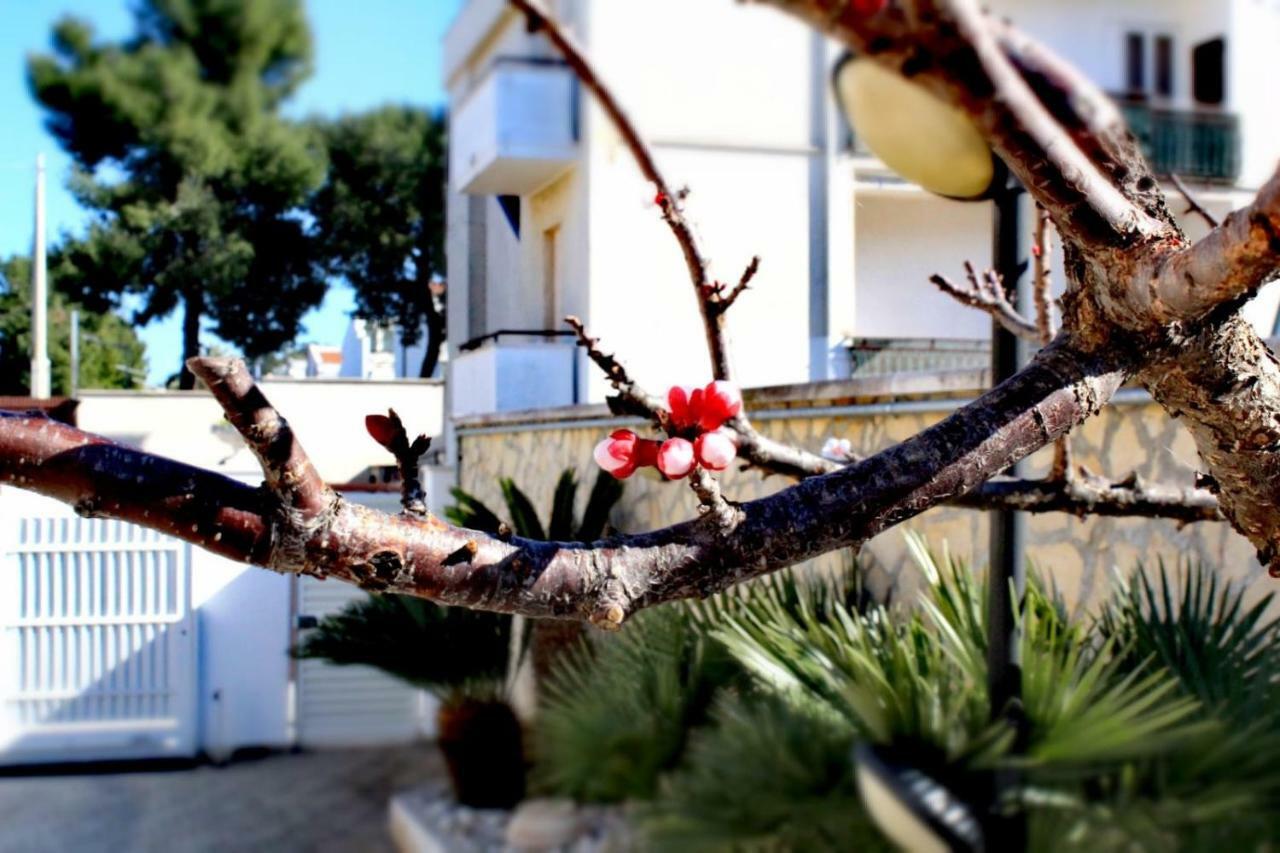 Villa Amelie Bisceglie Bagian luar foto